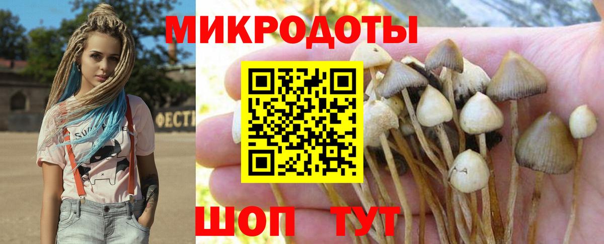 Галлюциногенные грибы Psilocybine cubensis  наркота  Галлюциногенные грибы GOLDEN TEACHER  Артём  Вход с VPN 